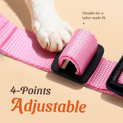 Dooradar cat harness detail showing adjustable neck and chest snaps.