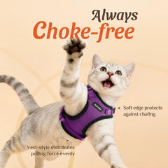 Dooradar cat harness showing the back D-ring leash attachment.