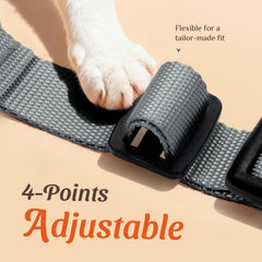 Dooradar Cat Harness and Leash Set with reflective strips for visibility.