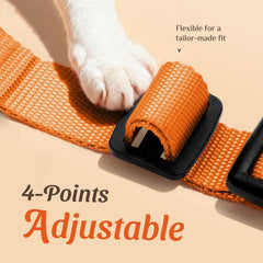Dooradar cat harness reflective strips shown in close-up.