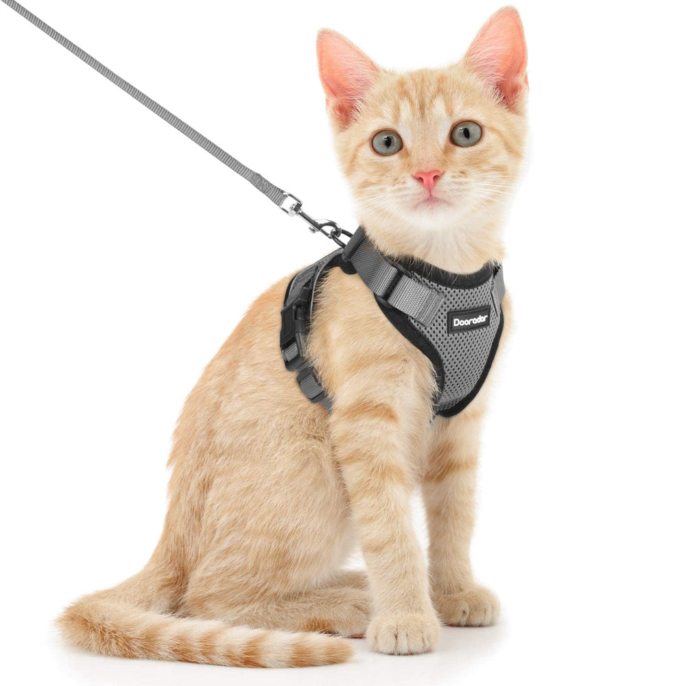 Dooradar cat harness and leash set shown from the front.