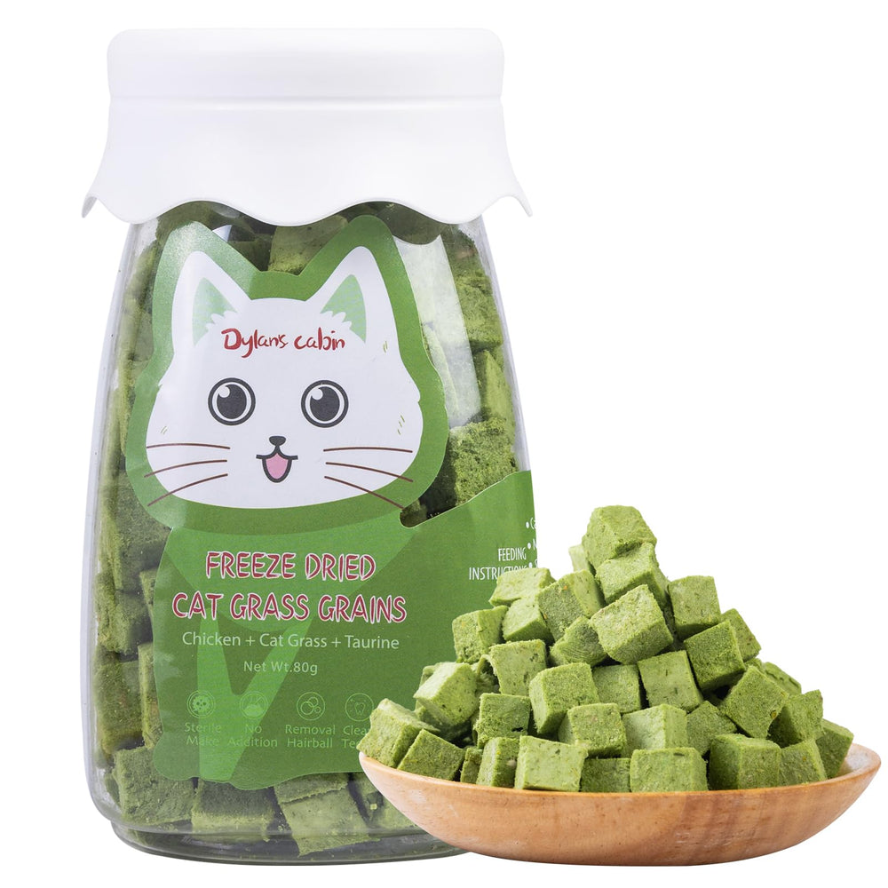 Dylan's cabin Cat Grass Teething Cubes shown from the front.