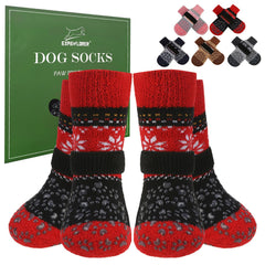 EXPAWLORER dog socks shown from the front.