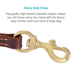 FAIRWIN leather dog leash detail showing the copper-alloy clip.