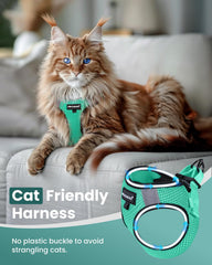 FAYOGOO cat harness vest showing the step-in design.