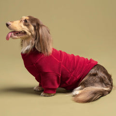 Fitwarm dog sweater fleece fabric shown in a close-up detail.