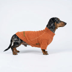 Fitwarm dog sweater three-pack shown in orange, yellow and coffee.