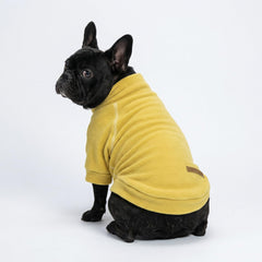 Fitwarm dog sweater close-up showing the turtleneck design.