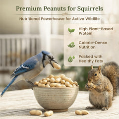 Forest Haven peanuts shown with the included bonus binoculars.