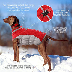 FUAMEY dog coat detail showing the back zipper.