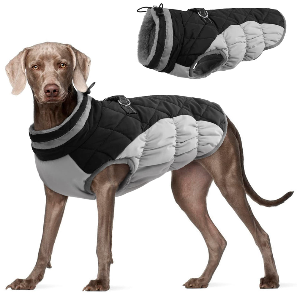 FUAMEY dog coat shown from the front with its winter jacket design.