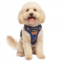 Funfox dog harness shown from the front with its vest shape and straps visible.