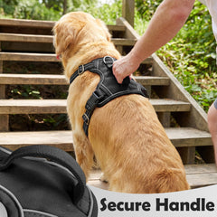 Funfox dog harness with reflective strips across the front, sides, and back.