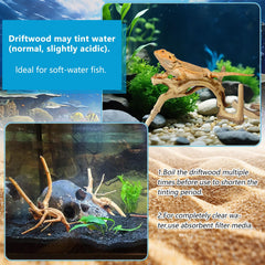 GDMYST spiderwood arranged as natural décor in a freshwater aquarium.