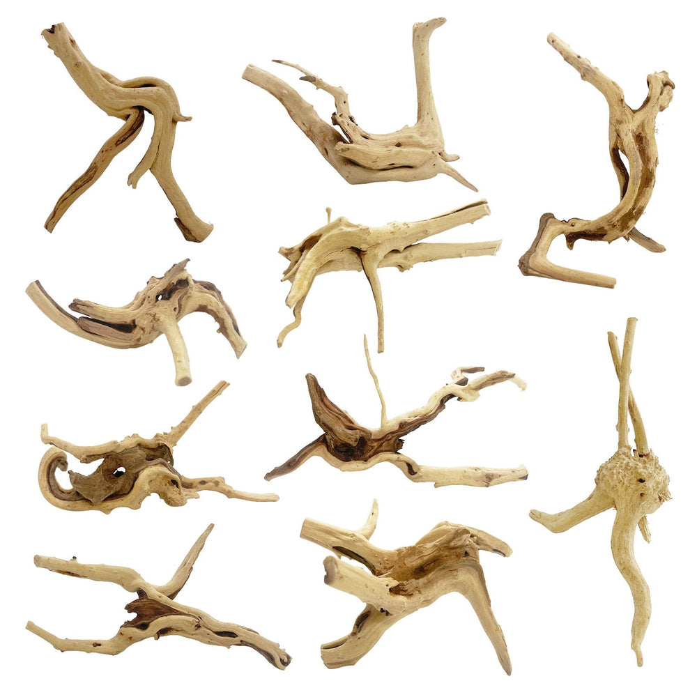 GDMYST spiderwood set showing the natural branches included in the package.