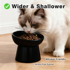 Generic elevated cat bowl set with the flat dish shown separately.
