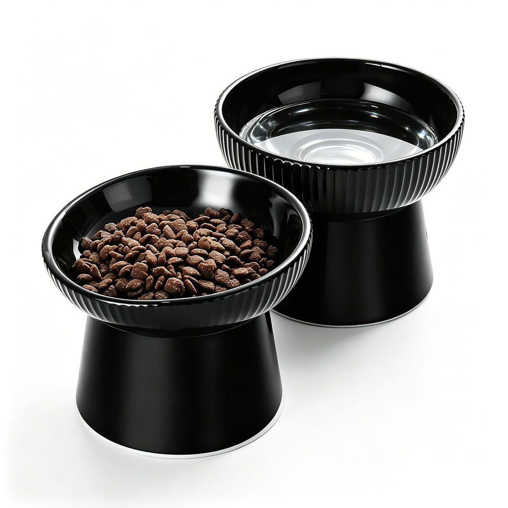 Generic elevated cat bowl set shown from the front with its tilted and flat dishes.