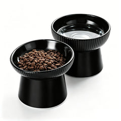 Generic elevated cat bowl set shown from the front with its tilted and flat dishes.