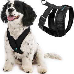 Front view of the black Gooby Comfort X dog harness in size Large.