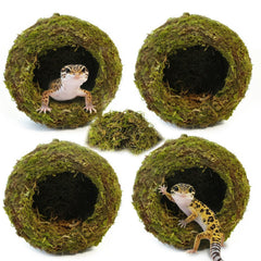 Gxsdj gecko hide set showing the four moss caves together.