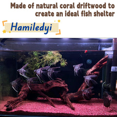 Hamiledyi driftwood arranged as natural aquarium decor.