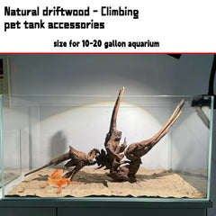 Hamiledyi driftwood positioned as a climbing branch in a reptile habitat.