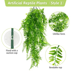 Hamiledyi reptile plants with the long green leaf shown separately.