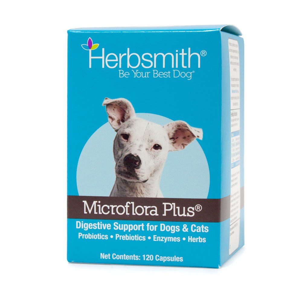 Herbsmith Microflora Plus dog digestive supplement shown with its capsule bottle.