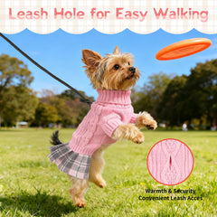 Hpetppy dog sweater dress with its turtleneck neckline in close view.