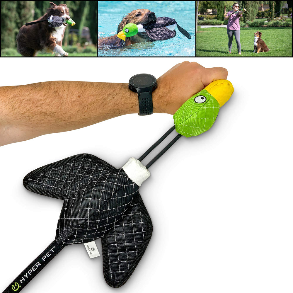 Hyper Pet Flying Duck dog toy shown from the front.