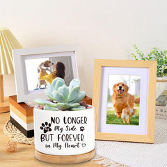 iAOVUEBY dog memorial gift box comfort stone imprinted with dog paw prints.