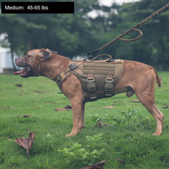 ICEFANG tactical dog harness showing its neck, back, and chest leash rings.