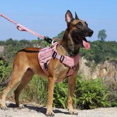 ICEFANG Tactical Dog Harness neck area showing its aluminum metal buckles.