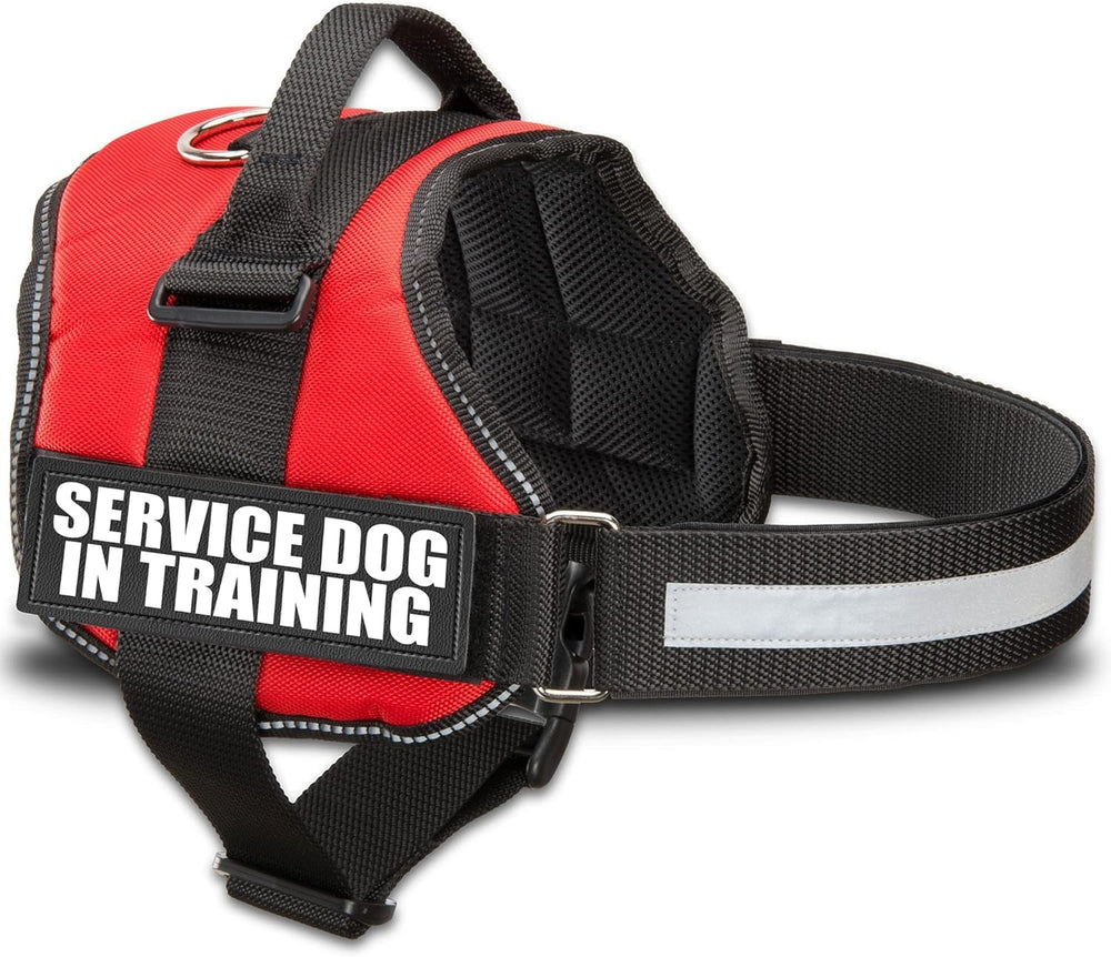 Industrial Puppy service dog training vest harness shown from the front.