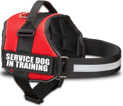Industrial Puppy service dog training vest harness shown from the front.