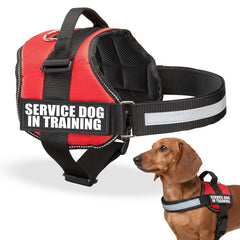 Industrial Puppy service dog training vest harness shown from a side angle.