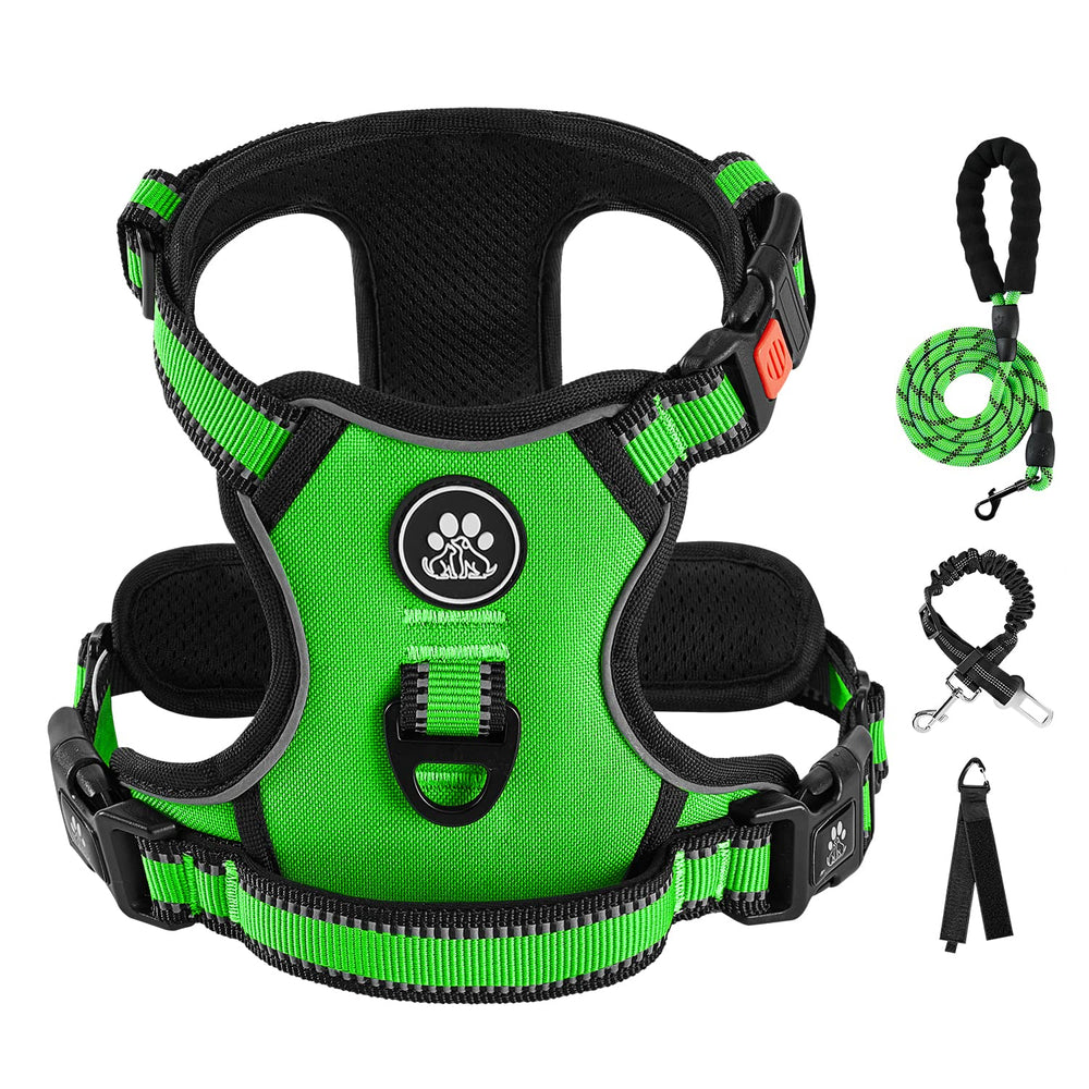 IVY&LANE dog harness set shown from the front.