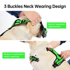IVY&LANE dog harness lockable neck buckle shown in detail.