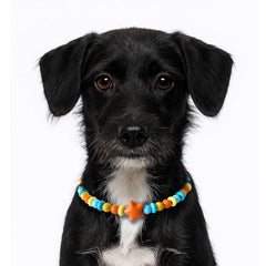 JOGIA Dog Necklace Collar worn by a dog as a decorative accessory.