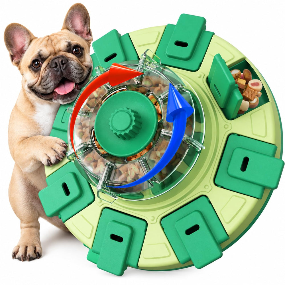 KADTC dog puzzle feeder shown from the front with its two-level design.