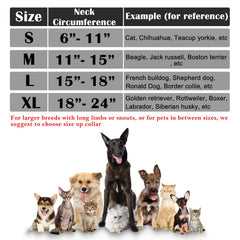 Katoggy inflatable cone collar close-up showing the adjustable Velcro strap.