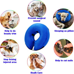 Katoggy inflatable dog collar worn by a pet.