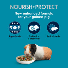 Kaytee Forti-Diet guinea pig food package shown at an angle.