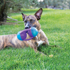 KONG Jumbler Disc dog toy with its pickup handles in view.