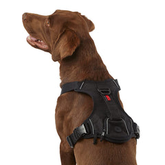 KONG waste bag harness shown from the front in black.