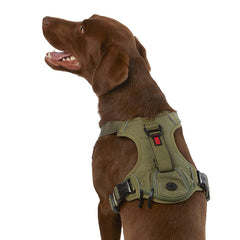 KONG Waste Bag Harness shown from the front in green.