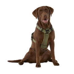KONG Waste Bag Harness close-up showing its neoprene-lined handle and chest plate.