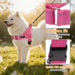 KOOLTAIL dog harness showing its triangular chest and back design.