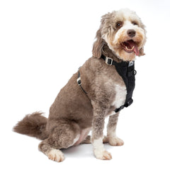 Kurgo Tru-Fit Smart Harness shown from the front in black.