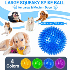 LECHONG dog ball close-up showing its denser, softer spiky surface.